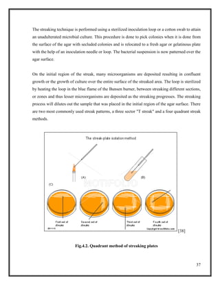 37
The streaking technique is performed using a sterilized inoculation loop or a cotton swab to attain
an unadulterated microbial culture. This procedure is done to pick colonies when it is done from
the surface of the agar with secluded colonies and is relocated to a fresh agar or gelatinous plate
with the help of an inoculation needle or loop. The bacterial suspension is now patterned over the
agar surface.
On the initial region of the streak, many microorganisms are deposited resulting in confluent
growth or the growth of culture over the entire surface of the streaked area. The loop is sterilized
by heating the loop in the blue flame of the Bunsen burner, between streaking different sections,
or zones and thus lesser microorganisms are deposited as the streaking progresses. The streaking
process will dilutes out the sample that was placed in the initial region of the agar surface. There
are two most commonly used streak patterns, a three sector "T streak" and a four quadrant streak
methods.
[38]
Fig.4.2. Quadrant method of streaking plates
 