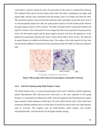 46
wash bottle is used for rinsing the slide. De-colorization of the smear is conducted by allowing
95% ethanol to flow down over the surface of the slide. The slide is maintained at an angle, held
against light, and this step is performed until the primary stain is no longer seen from the slide.
This procedure requires a few seconds after which the slide is promptly rinsed with water. Now if
we microscopically analyze the slide, the gram positive species will still remain purple whereas
the gram negative species will be colorless. The slide is flooded with the counterstain safranin and
kept for 2 minutes. Now at this point if we investigate the slide microscopically, the gram positive
strain will still remain purple and the gram negative bacteria will show the appearance of the
pinkish red counterstain. Rinsing with water is done and the slide is left to air dry. The slide can
be gently blotted, not rubbed with bibulous sheet. The surface of the slide needs to be free from
moisture before addition of immersion oil for examination under the 100X oil immersion objective
[49].
[48]
© Copyright, Adapted from Jenkins et.al
Fig.4.5. Microscopic observation of Gram negative and positive bacteria
4.6.2. Acid Fast staining (using Ziehl Neelson’s stain)
The Ziehl–Neelsen stain, is a special bacteriological stain used to identify acid-fast organisms,
mainly Mycobacteria [50]. Mycobacterium tuberculosis is the most important of this group
because it is responsible for tuberculosis (TB). Acid fast organisms like Mycobacterium contain
large amounts of lipid substances within their cell walls called mycolic acids. These acids resist
staining by ordinary methods such as a Gram stain. It can also be used to stain a few other bacteria,
such as Nocardia. The reagents used are Ziehl–Neelsen carbol fuchsin, acid alcohol,
and methylene blue. Acid-fast bacilli will be bright red after staining.
 