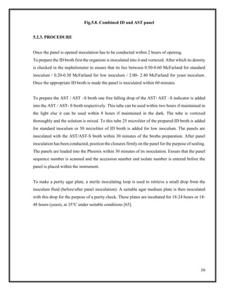 59
Fig.5.8. Combined ID and AST panel
5.2.3. PROCEDURE
Once the panel is opened inoculation has to be conducted within 2 hours of opening.
To prepare the ID broth first the organism is inoculated into it and vortexed. After which its density
is checked in the nephelometer to ensure that its lies between 0.50-0.60 McFarland for standard
inoculum / 0.20-0.30 McFarland for low inoculum / 2.00- 2.40 McFarland for yeast inoculum.
Once the appropriate ID broth is made the panel is inoculated within 60 minutes.
To prepare the AST / AST –S broth one free falling drop of the AST/ AST –S indicator is added
into the AST / AST- S broth respectively. This tube can be used within two hours if maintained in
the light else it can be used within 8 hours if maintained in the dark. The tube is vortexed
thoroughly and the solution is mixed. To this tube 25 microliter of the prepared ID broth is added
for standard inoculum or 50 microliter of ID broth is added for low inoculum. The panels are
inoculated with the AST/AST-S broth within 30 minutes of the broths preparation. After panel
inoculation has been conducted, position the closures firmly on the panel for the purpose of sealing.
The panels are loaded into the Phoenix within 30 minutes of its inoculation. Ensure that the panel
sequence number is scanned and the accession number and isolate number is entered before the
panel is placed within the instrument.
To make a purity agar plate, a sterile inoculating loop is used to retrieve a small drop from the
inoculum fluid (before/after panel inoculation). A suitable agar medium plate is then inoculated
with this drop for the purpose of a purity check. These plates are incubated for 18-24 hours or 18-
48 hours (yeast), at 35°C under suitable conditions [65].
 