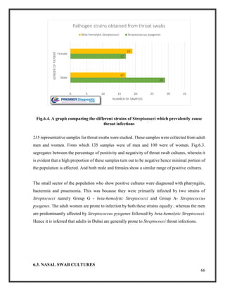 66
Fig.6.4. A graph comparing the different strains of Streptococci which prevalently cause
throat infections
235 representative samples for throat swabs were studied. These samples were collected from adult
men and women. From which 135 samples were of men and 100 were of women. Fig.6.3.
segregates between the percentage of positivity and negativity of throat swab cultures, wherein it
is evident that a high proportion of these samples turn out to be negative hence minimal portion of
the population is affected. And both male and females show a similar range of positive cultures.
The small sector of the population who show positive cultures were diagnosed with pharyngitis,
bactermia and pnuemonia. This was because they were primarily infected by two strains of
Streptococci namely Group G - beta-hemolytic Streptococci and Group A- Streptococcus
pyogenes. The adult women are prone to infection by both these strains equally , whereas the men
are predominantly affected by Streptococcus pyogenes followed by beta-hemolytic Streptococci.
Hence it is inferred that adults in Dubai are generally prone to Streptococci throat infections.
6.3. NASAL SWAB CULTURES
29
17
17
19
0 5 10 15 20 25 30 35
Male
Female
NUMBER OF SAMPLES
GENDEROFPATIENT
Pathogen strains obtained from throat swabs
Beta hemolytic Streptococci Streptococcus pyogenes
 