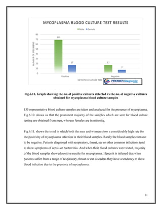 71
Fig.6.11. Graph showing the no. of positive cultures detected vs the no. of negative cultures
obtained for mycoplasma blood culture samples
135 representative blood culture samples are taken and analyzed for the presence of mycoplasma.
Fig.6.10. shows us that the prominent majority of the samples which are sent for blood culture
testing are obtained from men, whereas females are in minority.
Fig.6.11. shows the trend in which both the men and women show a considerably high rate for
the positivity of mycoplasma infection in their blood samples. Rarely the blood samples turn out
to be negative. Patients diagnosed with respiratory, throat, ear or other common infections tend
to show symptoms of sepsis or bacteremia. And when their blood cultures were tested, majority
of the blood samples showed positive results for mycoplasma. Hence it is inferred that when
patients suffer from a range of respiratory, throat or ear disorders they have a tendency to show
blood infection due to the presence of mycoplasma.
69
1717
7
0
10
20
30
40
50
60
70
80
Positive Negative
NUMBEROFSPECIMENS
DETECTED CULTURE TYPE
MYCOPLASMA BLOOD CULTURE TEST RESULTS
Male Female
 
