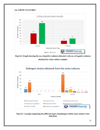 72
6.6. URINE CULTURES
Fig.6.12. Graph showing the no. of positive cultures detected vs the no. of negative cultures
obtained for urine culture samples.
Fig.6.13. A graph comparing the different types of pathogens which cause urinary tract
infections
79
24
156
41
0
20
40
60
80
100
120
140
160
180
Positive Negative
Numberofsamples
Detected Culture Type
Urine culture tests results
Male Female
20
0
59
106
0
13
0
19
0
6
0 30 30 3
0
20
40
60
80
100
120
Male Female
Numberofsamples
Patient's Gender
Pathogen strains obtained from the urine cultures
Neiserria gonorhoeae Escherichia coli Klebsiella pneumoniae
Streptococcus agalactia Citrobacter kosemi Staphylococcus saprophyticus
Proteus mirabilis Streptococcus pyogenes
 