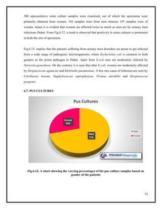 73
300 representative urine culture samples were examined, out of which the specimens were
primarily obtained from women. 103 samples were from men whereas 197 samples were of
women, hence it is evident that women are affected twice as much as men are by urinary tract
infections Dubai. From Fig.6.12. a trend is observed that positivity in urine cultures is prominent
in both the sets of specimens.
Fig.6.13. implies that the patients suffering from urinary tract disorders are prone to get infected
from a wide range of pathogenic microorganisms, where Escherichia coli is common to both
genders as the prime pathogen in Dubai. Apart from E.coli men are moderately infected by
Neiserria gonorhoea. On the contrary it is seen that after E.coli, women are moderately affected
by Streptococcus agalactia and Klebsiella pneumoniae. A few rare cases of infection are seen by
Citrobacter kosemi, Staphylococcus saprophyticus, Proteus mirabilis and Streptococcus
pyogenes.
6.7. PUS CULTURES
Fig.6.14. A chart showing the varying percentages of the pus culture samples based on
gender of the patients
Male
71%
Female
29%
Pus Cultures
Male
Female
 