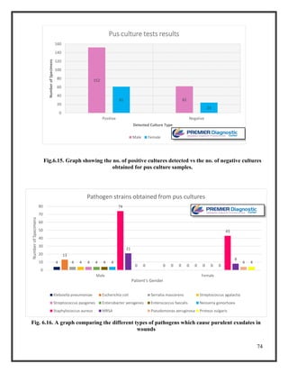 74
Fig.6.15. Graph showing the no. of positive cultures detected vs the no. of negative cultures
obtained for pus culture samples.
152
6261
24
0
20
40
60
80
100
120
140
160
Positive Negative
NumberofSpecimens
Detected Culture Type
Pus culture tests results
Male Female
4
0
13
0
4
0
4
0
4
0
4
0
4
0
4
0
74
43
21
8
0
4
0
4
0
10
20
30
40
50
60
70
80
Male Female
NumberofSpecimens
Patient's Gender
Pathogen strains obtained from pus cultures
Klebsiella pneumoniae Escherichia coli Serratia mascerens Streptococcus agalactia
Streptococcus pyogenes Enterobacter aerogenes Enterococcus faecalis Neisseria gonorhoea
Staphylococcus aureus MRSA Pseudomonas aeruginosa Proteus vulgaris
Fig. 6.16. A graph comparing the different types of pathogens which cause purulent exudates in
wounds
 