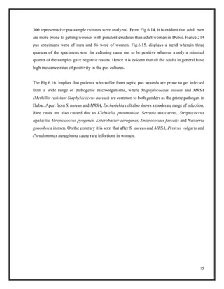 75
300 representative pus sample cultures were analyzed. From Fig.6.14. it is evident that adult men
are more prone to getting wounds with purulent exudates than adult women in Dubai. Hence 214
pus specimens were of men and 86 were of women. Fig.6.15. displays a trend wherein three
quarters of the specimens sent for culturing came out to be positive whereas a only a minimal
quarter of the samples gave negative results. Hence it is evident that all the adults in general have
high incidence rates of positivity in the pus cultures.
The Fig.6.16. implies that patients who suffer from septic pus wounds are prone to get infected
from a wide range of pathogenic microorganisms, where Staphylococcus aureus and MRSA
(Methillin resistant Staphylococcus aureus) are common to both genders as the prime pathogen in
Dubai. Apart from S. aureus and MRSA, Escherichia coli also shows a moderate range of infection.
Rare cases are also caused due to Klebsiella pneumoniae, Serratia mascarens, Streptococcus
agalactia, Streptococcus pyogenes, Enterobacter aerogenes, Enterococcus faecalis and Neiserria
gonorhoea in men. On the contrary it is seen that after S. aureus and MRSA, Proteus vulgaris and
Pseudomonas aeruginosa cause rare infections in women.
 
