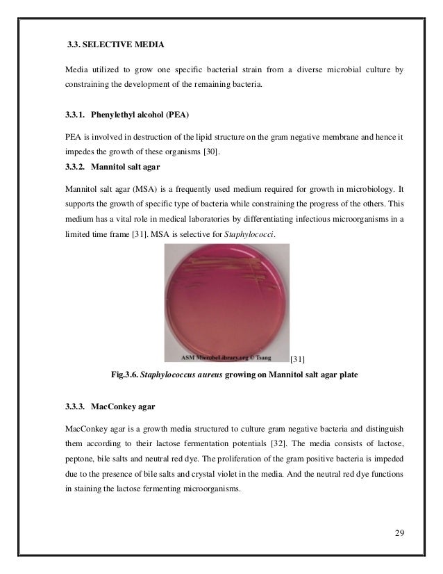 What is differential media microbiology picture