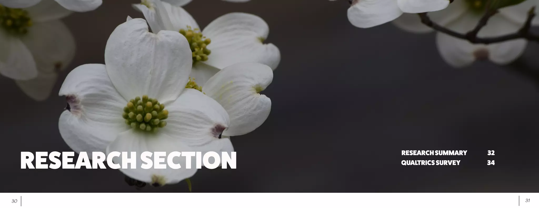 31	 30
RESEARCHSECTION
RESEARCHSUMMARY		 32
QUALTRICSSURVEY			34
 