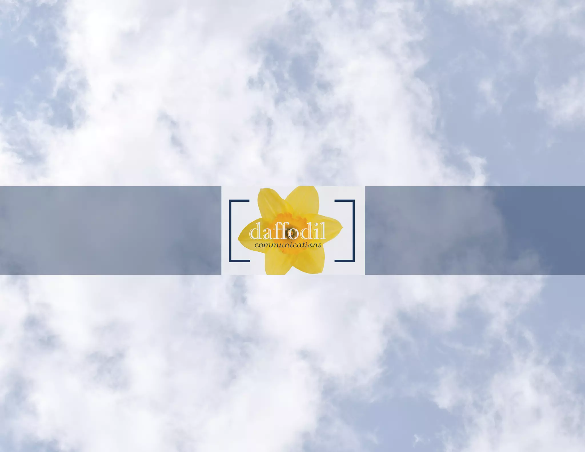 CASE Campaign Proposal