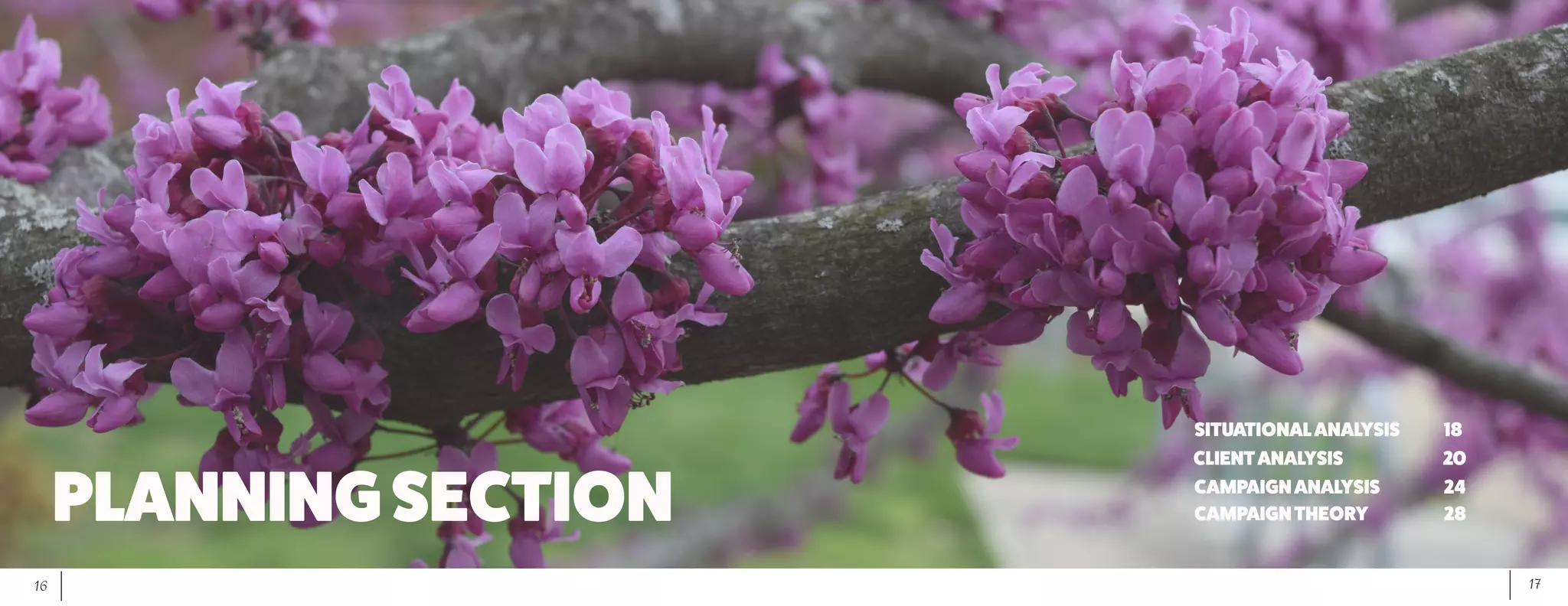 17	 16
PLANNINGSECTION
SITUATIONALANALYSIS		 18
CLIENTANALYSIS			 20
CAMPAIGNANALYSIS		 24
CAMPAIGNTHEORY			28
 