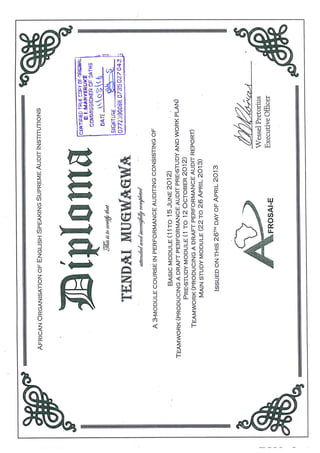Performance Auditing Certificate