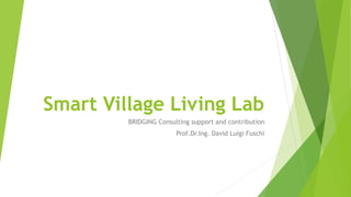 Smart Village Living Lab
BRIDGING Consulting support and contribution
Prof.Dr.Ing. David Luigi Fuschi
 