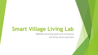 Smart Village Living Lab
BRIDGING Consulting support and contribution
Prof.Dr.Ing. David Luigi Fuschi
