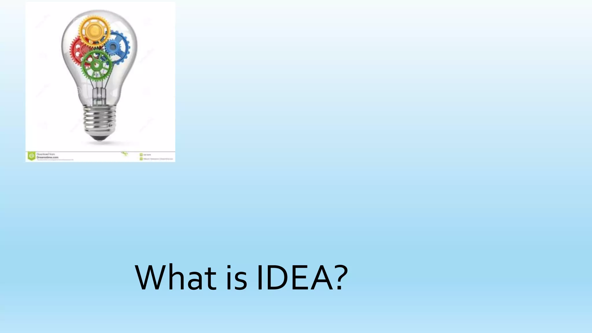 What is IDEA?
 