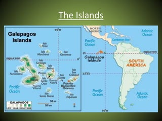 The Islands
 