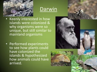 Darwin
• Keenly interested in how
islands were colonized &
why organisms were so
unique, but still similar to
mainland organisms
• Performed experiments
to see how plants could
have colonized the
islands & hypothesized
how animals could have
arrived.
 
