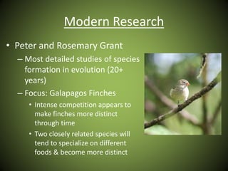 Modern Research
• Peter and Rosemary Grant
– Most detailed studies of species
formation in evolution (20+
years)
– Focus: Galapagos Finches
• Intense competition appears to
make finches more distinct
through time
• Two closely related species will
tend to specialize on different
foods & become more distinct
 