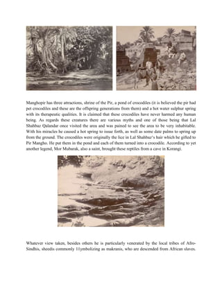 Manghopir has three attractions, shrine of the Pir, a pond of crocodiles (it is believed the pir had
pet crocodiles and these are the offspring generations from them) and a hot water sulphur spring
with its therapeutic qualities. It is claimed that these crocodiles have never harmed any human
being. As regards these creatures there are various myths and one of those being that Lal
Shahbaz Qalandar once visited the area and was pained to see the area to be very inhabitable.
With his miracles he caused a hot spring to issue forth, as well as some date palms to spring up
from the ground. The crocodiles were originally the lice in Lal Shahbaz‘s hair which he gifted to
Pir Mangho. He put them in the pond and each of them turned into a crocodile. According to yet
another legend, Mor Mubarak, also a saint, brought these reptiles from a cave in Korangi.
Whatever view taken, besides others he is particularly venerated by the local tribes of Afro-
Sindhis, sheedis commonly 11ymbolizing as makranis, who are descended from African slaves.
 