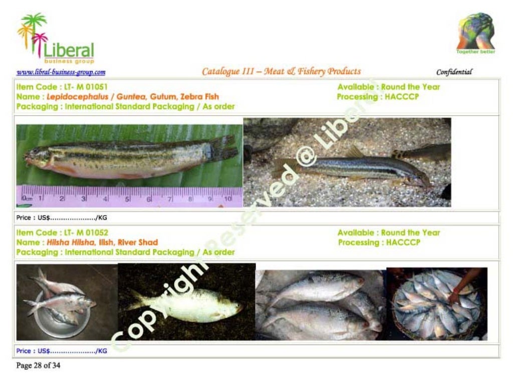 Fish Catalogue iii copy 2