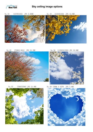 Sky ceiling image options
No.43 (2478X1652 JPG 5.66M) No.44 (5184X3456 JPG 12.8M)
No.45 (7360×4912 JPG 21.5M) No.56 (13583X13583 JPG 33.8M)
No.57 (7087X7087 JPG 21.8M) No.59 (4906 X 5276 JPG 7.6M)
 