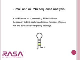 Small and miRNA sequence Analysis
 miRNAs are short, non coding RNAs that have
the capacity to bind, capture and silence hundreds of genes
with and across diverse signaling pathways
 