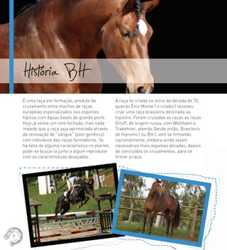 História BH
É uma raça em formação, produto do
cruzamento entre machos de raças
européias especializados nos esportes
hípicos com éguas bases de grande porte.
Hoje já existe um livro fechado, mas nada
impede que a raça seja aprimorada através
da renovação de "sangue" (pool genético)
com indivíduos das raças formadoras. Se
há falta de alguma característica no plantel,
pode-se busca-la junto a algum reprodutor
com as características desejadas.
A raça foi criada no início da década de 70,
quando Ênio Monte ( o criador) resolveu
criar uma raça brasileira destinada ao
hipismo. Foram cruzadas as raças as raças
Orloff, de origem russa, com Westfalen e
Trakehner, alemãs.Desde então, Brasileiro
de Hipismo ( ou BH ), vem se ﬁrmando
nacionalmente, embora ainda sejam
necessárias mais algumas décadas, depois
de concluídos os cruzamentos, para se
ﬁrmar a raça.
9
 