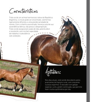 CaracteristicasTrata-se de um animal harmonioso nativo da República
Argentina, o crioulo pode ser encontrado, sob formas
ligeiramente difrentes e uma grande variedade de
nomes. Com o chanfro acarneirado, herança esta de sua
ascendência ibérica, não possui a desproporção.
Trata-se de excepcional cavalo de lida, potente,dócil
e resistente, com incrível capacidade
de trabalho e subsistência
sob condições.
Nos dias atuais, está sendo descoberto pelos
praticantes do hipismo rural, com crescente
sucesso esportivo. É educado num galope
especial, curto, porém continuado, que permite
fazer muitos quilômetros por dia.
Aptidões:
 