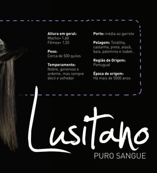 Altura em geral:
Macho= 1,60
Fêmea= 1,55
Peso:
Cerca de 500 quilos
Temperamento:
Nobre, generoso e
ardente, mas sempre
dócil e sofredor
Porte: média ao garrote
Pelagem: Tordilha,
castanha, preta, alazã,
baia, palomina e isabel..
Região de Origem:
Portugual
Época de origem:
Há mais de 5000 anos
LusitanoPURO SANGUE
 