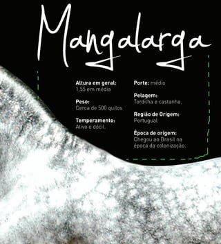 MangalargaAltura em geral:
1,55 em média
Peso:
Cerca de 500 quilos
Temperamento:
Ativo e dócil.
Porte: médio
Pelagem:
Tordilha e castanha.
Região de Origem:
Portugual
Época de origem:
Chegou ao Brasil na
época da colonização.
 
