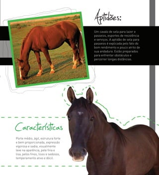 Porte médio, ágil, estrutura forte
e bem proporcionada, expressão
vigorosa e sadia, visualmente
leve na aparência, pele ﬁna e
lisa, pelos ﬁnos, lisos e sedosos,
temperamento ativo e dócil.
Características
Aptidões:Um cavalo de sela para lazer e
passeios, esportes de resistência
e serviços. A aptidão de sela para
passeios é explicada pelo fato do
bom rendimento e pouco atrito de
sua andadura. Estão preparados
para enfrentar obstáculos e
percorrer longas distâncias.
 