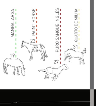 PAINTHORSE
QUARTODEMILHA
MANGALARGA
PUROSANGUEINGLÊS
23
31
19
27
 