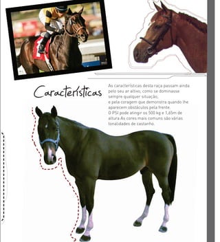 As características desta raça passam ainda
pelo seu ar altivo, como se dominasse
sempre qualquer situação,
e pela coragem que demonstra quando lhe
aparecem obstáculos pela frente.
O PSI pode atingir os 500 kg e 1,65m de
altura As cores mais comuns são várias
tonalidades de castanho.
e pela coragem que demonstra quando lhe
aparecem obstáculos pela frente.
O PSI pode atingir os 500 kg e 1,65m de
altura As cores mais comuns são várias
tonalidades de castanho.
Características
 