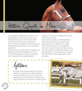História Quarto de MilhaA raça Quarto de Milha foi a primeira a ser
desenvolvida na América. Ela surgiu nos
Estados Unidos por volta do ano de 1600.
Os primeiros animais que a originaram
foram trazidos da Arábia e Turquia à América
do Norte pelos exploradores e comerciantes
espanhóis.
Os garanhões escolhidos eram cruzados com
égüas que vieram da Inglaterra, em 1611.
O cruzamento produziu cavalos compactos,
com músculos fortes, podendo correr
distâncias curtas mais rapidamente do que
nenhuma outra raça.
Com a lida no campo, na desbravação do
Oeste Norte-americano, o cavalo foi se
especializando no trabalho com o gado.
Nos ﬁnais de semana, os colonizadores
divertiam-se, promovendo corridas nas ruas
das vilas e pelas estradas dos campos, perto
das plantações, com distância de um quarto
de milha (402 metros), originando o nome
do cavalo.
Aptidões:Corridas, salto, provas western em geral e
trabalho no campo. No nordeste do Brasil
o Quarto de Milha tornou-se o melhor em
vaquejada. No sul do Brasil nos trabalhos de
campo encontra concorrencia no cavalo crioulo.
33
 
