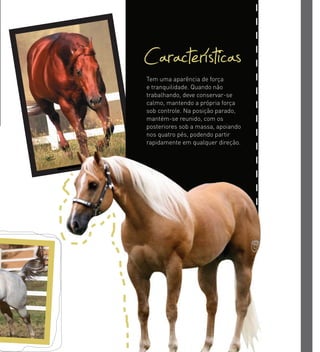 Tem uma aparência de força
e tranquilidade. Quando não
trabalhando, deve conservar-se
calmo, mantendo a própria força
sob controle. Na posição parado,
mantém-se reunido, com os
posteriores sob a massa, apoiando
nos quatro pés, podendo partir
rapidamente em qualquer direção.
Características
 