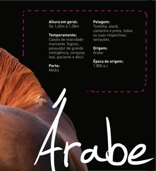 Altura em geral:
De 1,45m à 1,58m
Temperamento:
Cavalo de vivacidade
marcante, fogoso,
possuidor de grande
inteligência, corajoso,
leal, paciente e dócil.
Porte:
Médio
Pelagem:
Tordilha, alazã,
castanha e preta, todas
as suas respectivas
variações
Origem:
Árabe
Época de origem:
1.800 a.c
Altura em geral:
De 1,45m à 1,58m
Temperamento:
Cavalo de vivacidade
marcante, fogoso,
possuidor de grande
inteligência, corajoso,
leal, paciente e dócil.
Porte:
Médio
Pelagem:
Tordilha, alazã,
castanha e preta, todas
as suas respectivas
variações
Origem:
Árabe
Época de origem:
1.800 a.c
 