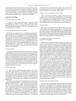 1998), while heat-shock resistance decreases with age (Ben-Zvi et al.,
2009). Finally, to gain insight into molecular mechanisms responsible
for different phenotypes characterizing groups of nematodes having
different biological ages, we analyzed the transcriptional proﬁles of
genes coding for chaperones and co-chaperones, antioxidant enzymes,
stress response transcription factors, and proteasome subunits.
2. Materials and methods
2.1. Nematode and bacterial strain
C. elegans N2 strain, kindly provided by J. J. Ewbank (Centre
d'Immunologie de Marseille-Luminy (CIML), UM2 Aix-Marseille
Université, Marseille, France), was used for all experiments, unless
otherwise indicated. The Escherichia coli strain used in this study was
the uracil-deﬁcient strain OP50.
2.2. Nematode maintenance and synchronization
Nematodes were maintained at 25 °C on nematode growth medium
(NGM) agar plates, which were previously seeded with the stationary-
phase bacterial culture and incubated at 37 °C. Age-synchronized popu-
lations of nematodes were initiated from eggs recovered following sodi-
um hydroxide (0.5 M ﬁnal) and sodium hypochlorite (0.96% ﬁnal)
treatment of gravid adults maintained at 25 °C and fed by OP50 bacteria.
All assays were carried out with nematodes synchronized twice: once
before development by sodium hydroxide/hypochlorite treatment as
described above and a second time at the end of development by
selecting exclusively nematodes at the end of the 4th larval (L4) stage
based on vulva morphology.
2.3. Survival assays
At L4 stage, 60 nematodes were transferred to Petri dishes of 9 cm in
diameter where almost all the surfaces were covered by a lawn of OP50
bacteria. Petri dishes necessary for the six ﬁrst days of experiments were
prepared one day before day 0. Nematodes were transferred to new
plates every day during the ﬁrst 5 days to avoid progeny contamination,
and every 2–3 days thereafter. Dead nematodes were scored every 24 h.
A nematode was considered dead when it failed to respond to plate tap-
ping or a gentle touch with a platinum wire. Only nematodes that died
as a result of getting stuck to the wall of the plate were censored.
Lifespan was measured as the time from the end of L4 larval stage (be-
ginning of adulthood) until death.
2.4. Electrotaxis assays
For each experiment, approximately 60 nematodes 5 days after L4
stage were transferred from a cultivation plate and rinsed with
electrotaxis buffer. They were then transferred on an agar gel in a
drop of electrotaxis buffer. After the electrotaxis run, the agar gel was
cut into three in order to isolate the 25% slowest nematodes, from the
intermediate group and the 25% fastest nematodes. Each piece of agar
was then rinsed and nematodes were transferred onto a fresh lawn of
OP50 bacteria.
The agar gel was composed of: deionized water, 2% of Bacto-Agar,
glycerol (6 mL of glycerol 60% for 1 L), and NaCl (0.250 mmol/L) as pre-
viously described in Gabel et al. (2007). The gel was cast by pouring a
ﬁrst layer of agar and adding a PDMS (polydimethylsiloxane) block
onto it, so that it will shape the future cavity where nematodes will
crawl. A second layer of gel was then poured around the PDMS block.
Once solidiﬁed, the PDMS block was removed. The resulting agar pad
was then placed in an electrophoresis box ﬁlled with buffer composed
of de-ionized water, glycerol (6 mL of glycerol 60% for 1 L) and NaCl
(0.250 mmol/L) as previously described (Gabel et al., 2007). We used
a PS305 electrophoresis power supply (APELEX, France) and the Wide
Mini-Subtm Cell electrophoresis box (Biorad, USA). Electric ﬁeld
strength in the gel was 4 V/cm. See Supplementary movie for a step-
by-step description of the electrotaxis assay protocol.
2.5. Measurements of nematode heat-shock resistance
After the electrotaxis assay, different categories of nematodes were
transferred onto a bacterial lawn of OP50 bacteria (≈25 nematodes
per bacterial lawn). After allowing nematodes to recover for 12 h at
25 °C, the Petri dishes were transferred to 35 °C. In the survival kinetic,
dead nematodes were scored every hour for 10 h. In the 2-hour heat-
shock, dead nematodes were censored at the end of the heat-shock.
2.6. Image analysis
Experiments were imaged with a 6.6 Mpixels CMOS monochrome
camera (Pixelink) with a close focus zoom lens 10× (136130 mm FL, Ed-
mund Optics Ltd, UK). A white, bright ﬁeld/dark ﬁeld ring light (Edmund
Optics Ltd.) was used to enhance the contrast. Since the nematode trajec-
tories are nearly straight, image analysis was straightforward. Trajectories
of nematodes were computed from images using FIJI including the plugin
M2Track and analyzed with a macro in Microsoft excel.
2.7. Preparation of protein extracts and protein
carbonylation measurement
Nematodes were collected just after the electrotaxis assay or the
heat-shock assay and they were rinsed in M9 before proceeding with
protein extraction. Samples of nematodes were pelleted by a 5 minute
centrifugation at 4000 ×g and resuspended in the lysis buffer of the
OxyElisa protein carbonylation detection kit (Millipore) supplemented
with a mixture of protease inhibitors (Roche). Approximately 60 ani-
mals were resuspended in 100 μL of the lysis buffer. Resuspended nem-
atodes were broken using a mechanical homogenizer with glass beads
of 150–202 μm (Sigma) and then centrifuged for 20 min at 12,000 ×g.
Samples were supplemented with 10 mg/100 μL lipid removal agent
(Sigma 13360-U), kept 1 h at room temperature (RT) with shaking
and centrifuged for 15 min at 10,000 ×g. Genomic DNA fragments
were removed by using carboxylated nanobeads (Shanghai Ehoo Bio-
technology Co., Ltd., average particle size: 80 nm, surface carboxyl
volume ≥ 0.25 mmol/g) at the ﬁnal concentration of 2 mg/mL, kept at
RT for 15 min followed by centrifugation of 15 min at 10,000 ×g. The
amount of protein in the supernatant was measured by the BCA kit
(Pierce) and total protein carbonylation using the OxyElisa kit according
to the producer's manual. Brieﬂy, protein extracts diluted to 10 μg/mL
were loaded into ELISA wells (Nunc, provided in the kit) and incubated
overnight at 4 °C to allow proteins to adsorb to the surface. This step was
followed by DNPH (component of the kit) derivatization of adsorbed
proteins and detection of derivatized dinitrophenol (DNP)-carbonyl by
a rabbit anti-DNP primary antibody and goat anti-rabbit secondary an-
tibody conjugated to HRP (included in the kit). Subsequent incubation
with enzyme substrate 3,3′,5,5′-tetramethylbenzidine resulted in a
colored product that was quantiﬁed using a microplate reader with
maximum absorbance at 450 nm.
2.8. RNA isolation and quantitative RT-PCR
After electrotaxis, assay nematodes from each category were divided
into aliquots of ~80 individuals. First, nematodes were rinsed in M9 to
minimize contamination and then suspended in TRIzol (Invitrogen),
90% of ﬁnal volume. DNA was removed with a Turbo DNase (Ambion)
treatment and the Superscript III (Invitrogen) was used to synthesize
cDNA. Quantitative PCR was performed using the SYBRgreen method.
Relative levels of mRNA were normalized to the level of act-1. Experi-
ments were repeated at least three times. Primers used in this study
are published elsewhere (Supplementary material Table 2).
13X. Manière et al. / Experimental Gerontology 60 (2014) 12–17
 