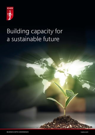 Building capacity for
a sustainable future
BUSINESS WITH CONFIDENCE	 icaew.com
 