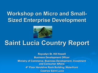 Workshop on Micro and Small-
Sized Enterprise Development
Saint Lucia Country Report
Roycelyn St. Hill Howell
Business Development Officer
Ministry of Commerce, Business Development, Investment
and Consumer Affairs
4th Floor Heraldine Rock Building, Waterfront
Castries Saint Lucia
 