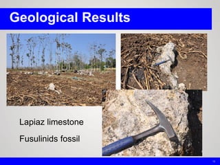 Geological Results
18
Lapiaz limestone
Fusulinids fossil
 