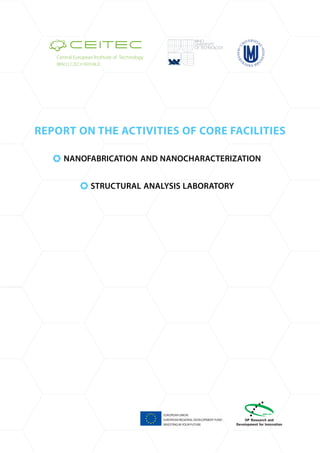 REPORT ON THE ACTIVITIES OF CORE FACILITIES
NANOFABRICATION AND NANOCHARACTERIZATION
STRUCTURAL ANALYSIS LABORATORY
 