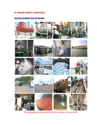 Aim Inspection AIM Control Brochure | PDF