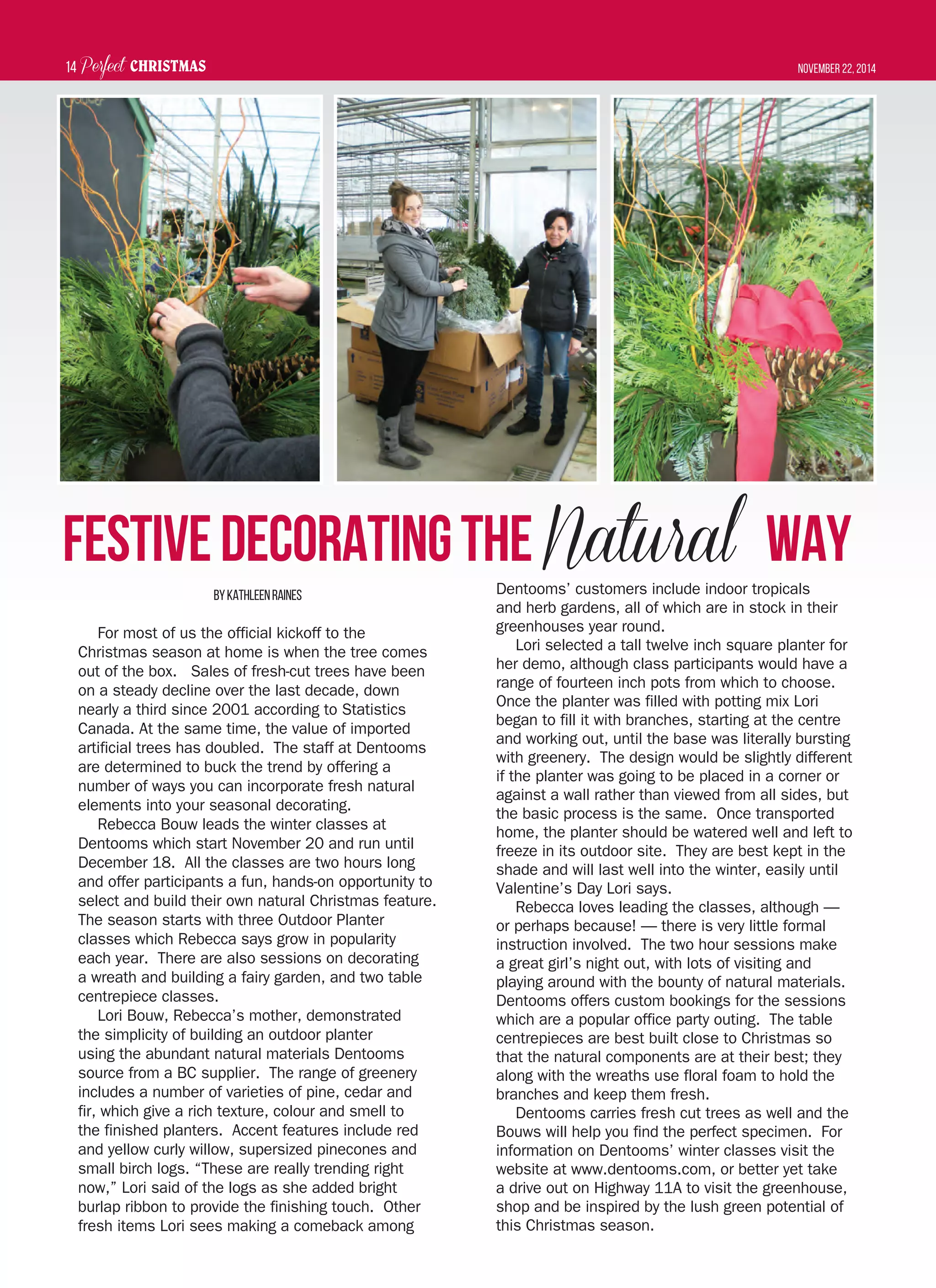 Perfect CHRISTMAS November 22, 201414
FestiveDecoratingtheNatural Way
ByKathleenRaines
For most of us the official kickoff to the
Christmas season at home is when the tree comes
out of the box. Sales of fresh-cut trees have been
on a steady decline over the last decade, down
nearly a third since 2001 according to Statistics
Canada. At the same time, the value of imported
artificial trees has doubled. The staff at Dentooms
are determined to buck the trend by offering a
number of ways you can incorporate fresh natural
elements into your seasonal decorating.
Rebecca Bouw leads the winter classes at
Dentooms which start November 20 and run until
December 18. All the classes are two hours long
and offer participants a fun, hands-on opportunity to
select and build their own natural Christmas feature.
The season starts with three Outdoor Planter
classes which Rebecca says grow in popularity
each year. There are also sessions on decorating
a wreath and building a fairy garden, and two table
centrepiece classes.
Lori Bouw, Rebecca’s mother, demonstrated
the simplicity of building an outdoor planter
using the abundant natural materials Dentooms
source from a BC supplier. The range of greenery
includes a number of varieties of pine, cedar and
fir, which give a rich texture, colour and smell to
the finished planters. Accent features include red
and yellow curly willow, supersized pinecones and
small birch logs. “These are really trending right
now,” Lori said of the logs as she added bright
burlap ribbon to provide the finishing touch. Other
fresh items Lori sees making a comeback among
Dentooms’ customers include indoor tropicals
and herb gardens, all of which are in stock in their
greenhouses year round.
Lori selected a tall twelve inch square planter for
her demo, although class participants would have a
range of fourteen inch pots from which to choose.
Once the planter was filled with potting mix Lori
began to fill it with branches, starting at the centre
and working out, until the base was literally bursting
with greenery. The design would be slightly different
if the planter was going to be placed in a corner or
against a wall rather than viewed from all sides, but
the basic process is the same. Once transported
home, the planter should be watered well and left to
freeze in its outdoor site. They are best kept in the
shade and will last well into the winter, easily until
Valentine’s Day Lori says.
Rebecca loves leading the classes, although —
or perhaps because! — there is very little formal
instruction involved. The two hour sessions make
a great girl’s night out, with lots of visiting and
playing around with the bounty of natural materials.
Dentooms offers custom bookings for the sessions
which are a popular office party outing. The table
centrepieces are best built close to Christmas so
that the natural components are at their best; they
along with the wreaths use floral foam to hold the
branches and keep them fresh.
Dentooms carries fresh cut trees as well and the
Bouws will help you find the perfect specimen. For
information on Dentooms’ winter classes visit the
website at www.dentooms.com, or better yet take
a drive out on Highway 11A to visit the greenhouse,
shop and be inspired by the lush green potential of
this Christmas season.
 