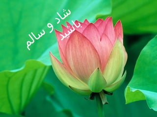 ‫ب شا‬
‫ا د‬
‫ش و‬
‫ید س‬
‫ال‬
‫م‬

 