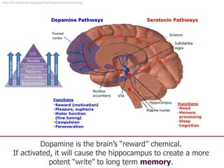 48
http://en.wikipedia.org/wiki/File:Dopamineseratonin.png
Dopamine is the brain’s “reward” chemical.
If activated, it will cause the hippocampus to create a more
potent “write” to long term memory.
I.D.
Models
Categories
Patterns
Memories
Experiences
Easieraccess
Compression
Rewards
Inertia
 