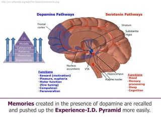 49
http://en.wikipedia.org/wiki/File:Dopamineseratonin.png
Memories created in the presence of dopamine are recalled
and pushed up the Experience-I.D. Pyramid more easily.
I.D.
Models
Categories
Patterns
Memories
Experiences
Easieraccess
Compression
Rewards
Inertia
 