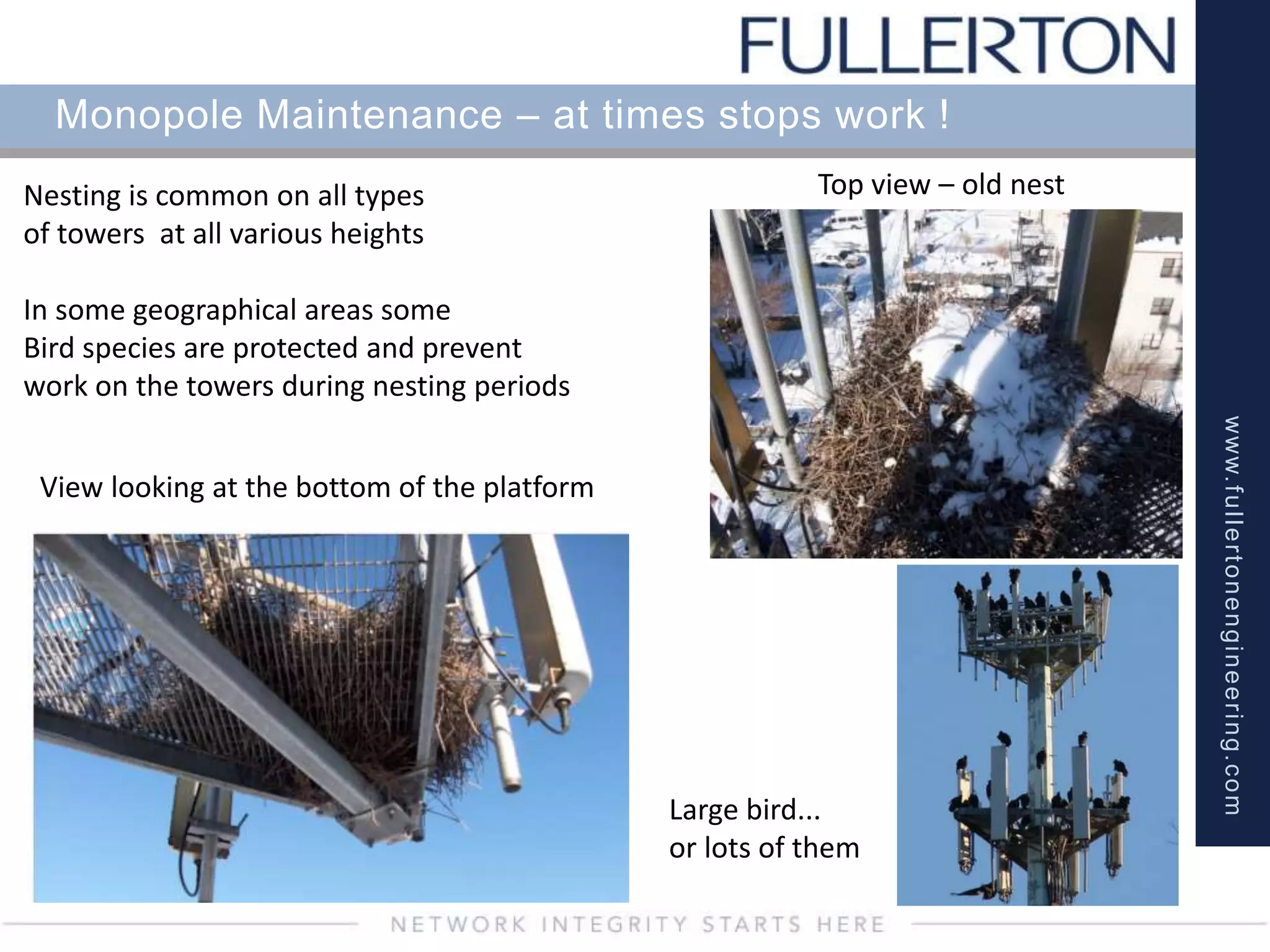 www.fullertonengineering.com
Monopole Maintenance – at times stops work !
Nesting is common on all types
of towers at all various heights
In some geographical areas some
Bird species are protected and prevent
work on the towers during nesting periods
View looking at the bottom of the platform
Top view – old nest
Large bird...
or lots of them
 