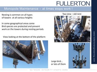 www.fullertonengineering.com
Monopole Maintenance – at times stops work !
Nesting is common on all types
of towers at all various heights
In some geographical areas some
Bird species are protected and prevent
work on the towers during nesting periods
View looking at the bottom of the platform
Top view – old nest
Large bird...
or lots of them
 