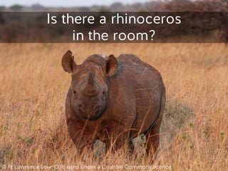 Is there a rhinoceros  
in the room?
© Fr Lawrence Lew, O.P., used under a Creative Commons licence
 