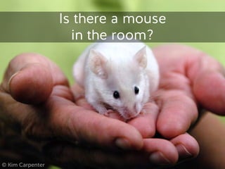 © Kim Carpenter
Is there a mouse
in the room?
 