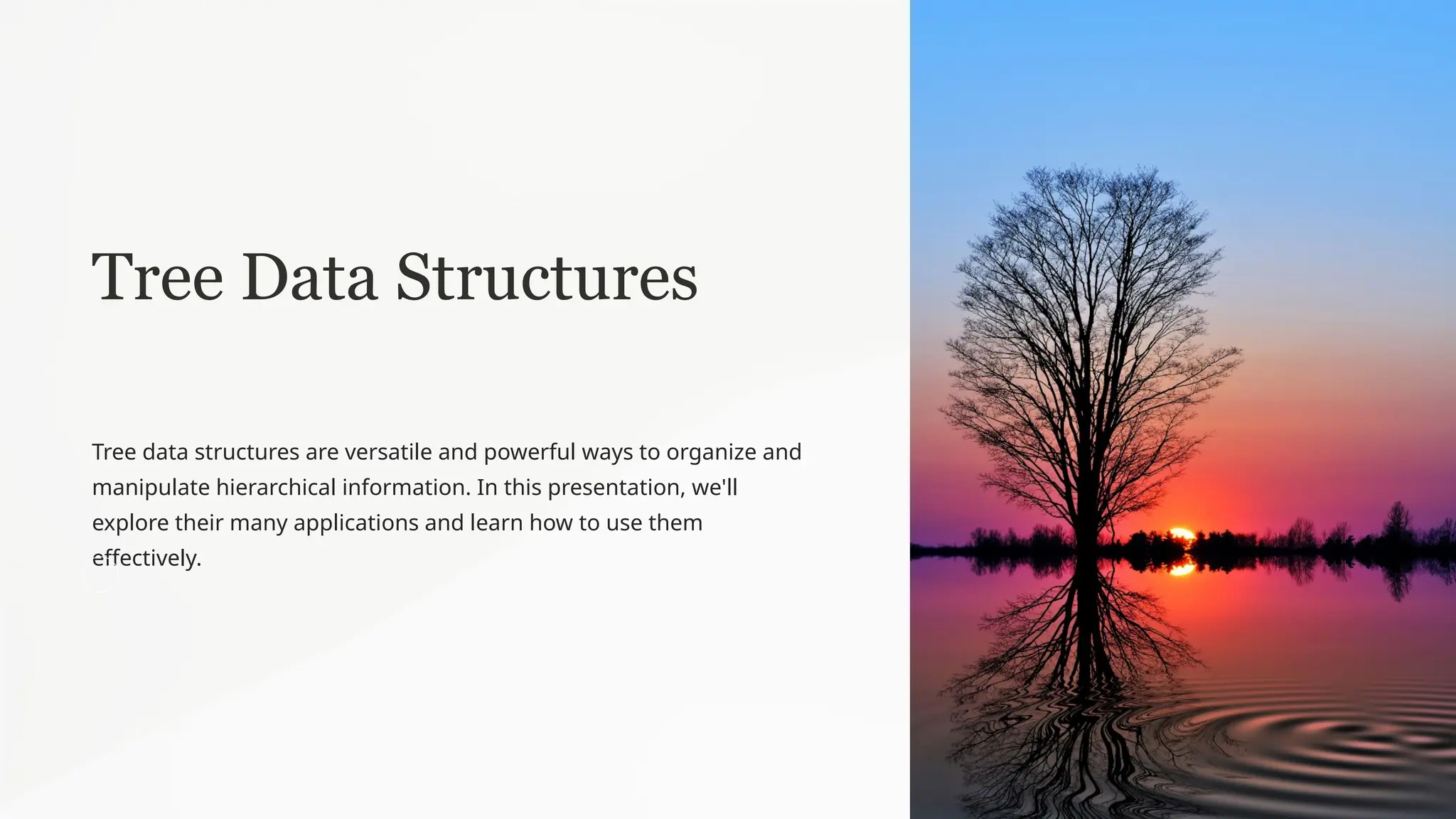 Tree Data Structures
Tree data structures are versatile and powerful ways to organize and
manipulate hierarchical information. In this presentation, we'll
explore their many applications and learn how to use them
effectively.
 