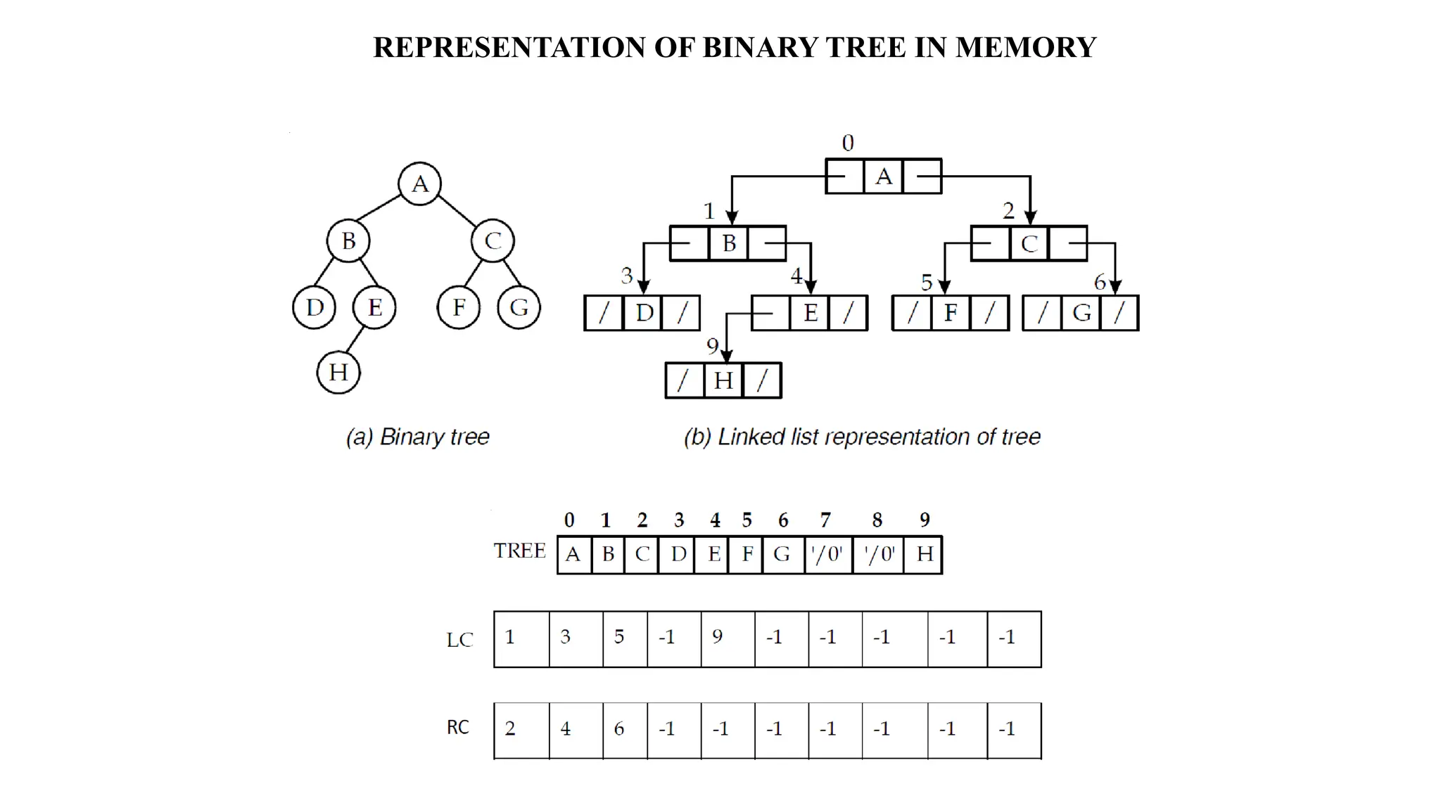 REPRESENTATION OF BINARY TREE IN MEMORY
 